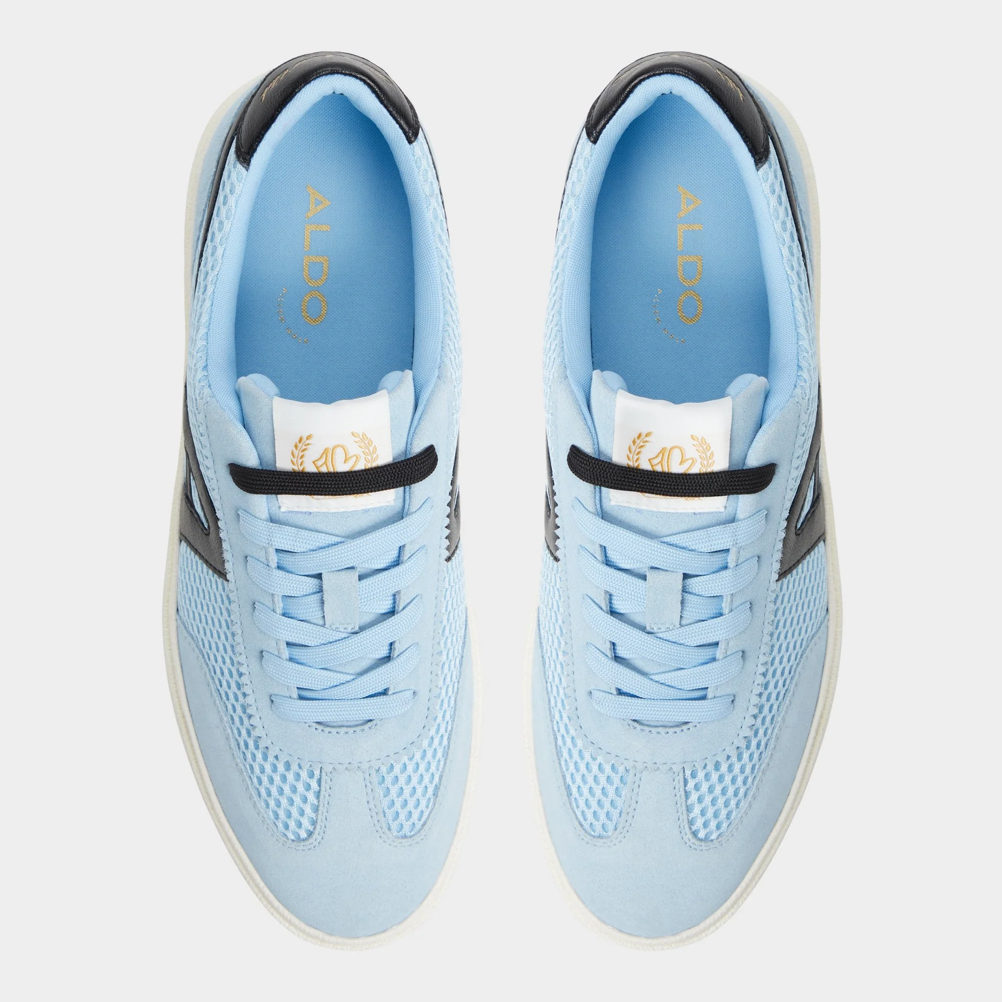 Clubtrainer 6 Clubtrainer