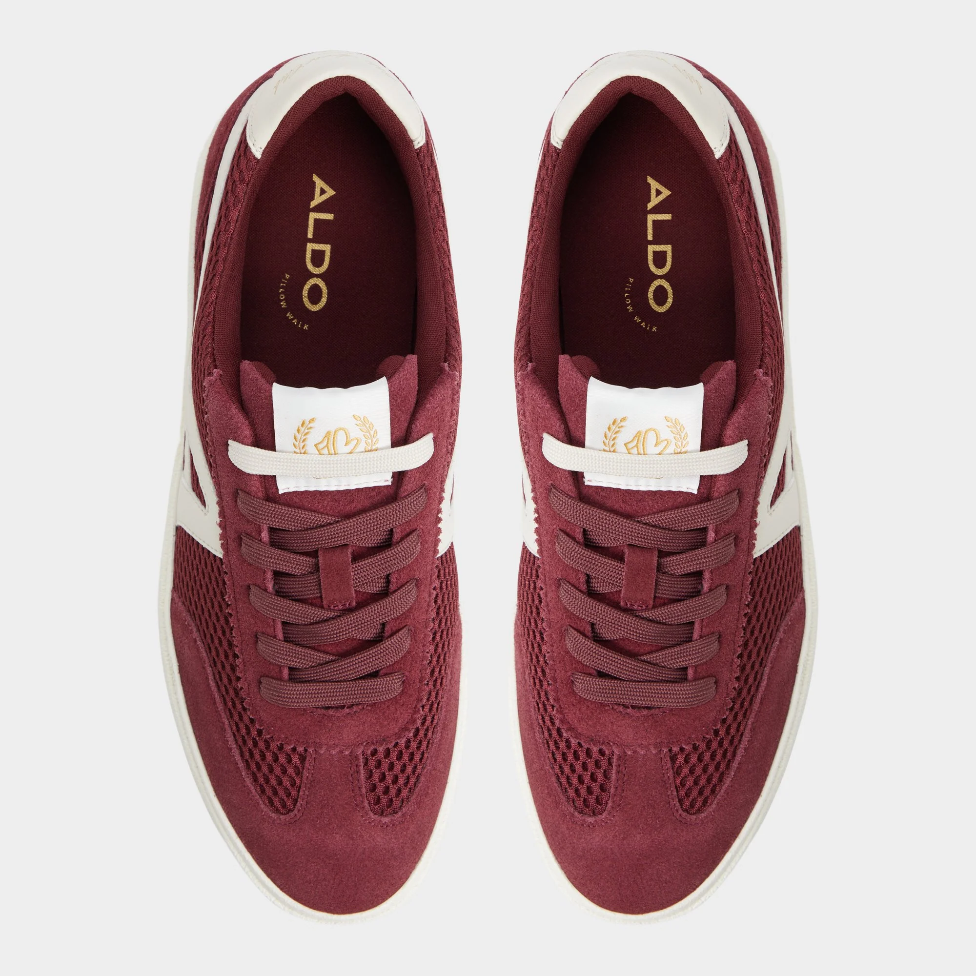 Clubtrainer 6 Clubtrainer