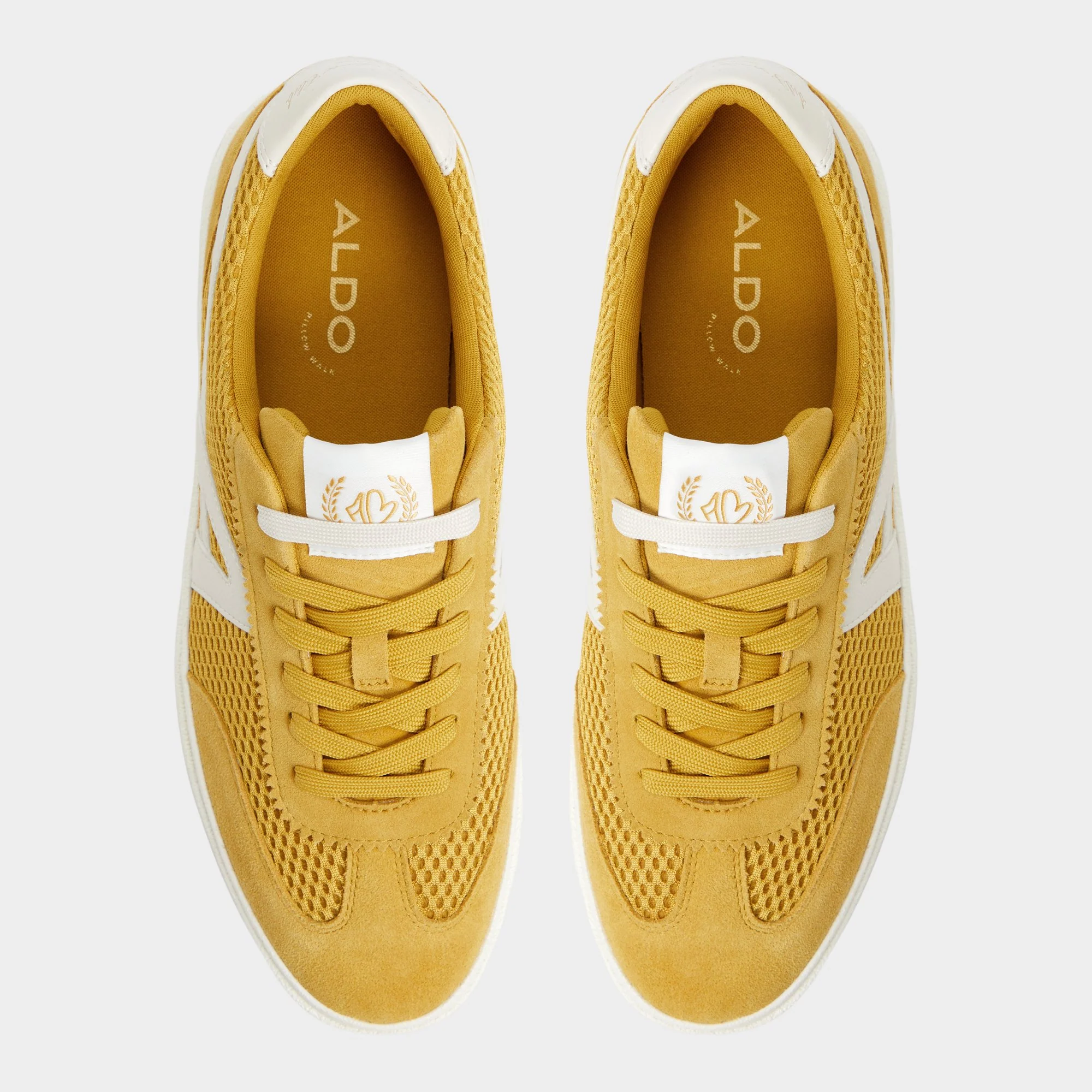 Clubtrainer 6 Clubtrainer