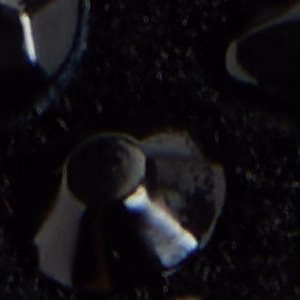 Lux 9 Lux