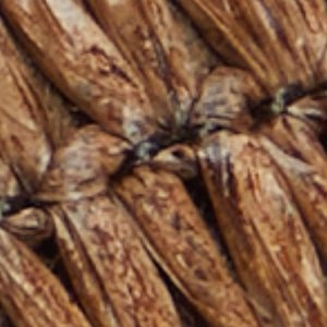 Wavysally 8 Wavysally