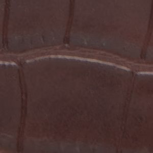 Aellaax 5 Aellaax
