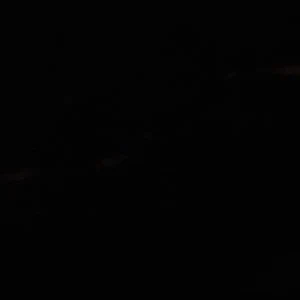 Jabellee 6 Jabellee