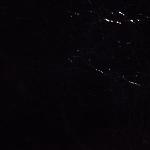 Alicieex 7 Alicieex