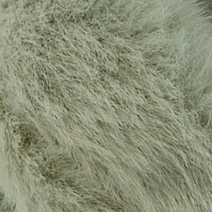 B.rex 3 B.rex