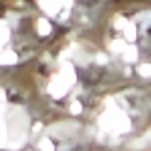 Shimma 8 Shimma